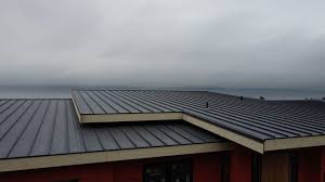 Best 4 Ply Roofing  in Byers, CO